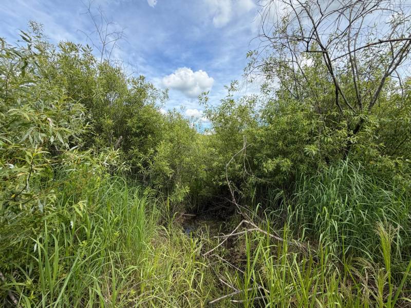 Off CTH M, , Merrill,  WI 54452 USA