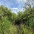 Off CTH M, , Merrill,  WI 54452 USA