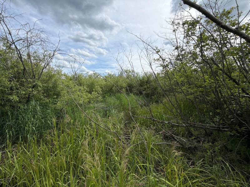 Off CTH M, , Merrill,  WI 54452 USA