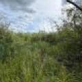 Off CTH M, , Merrill,  WI 54452 USA