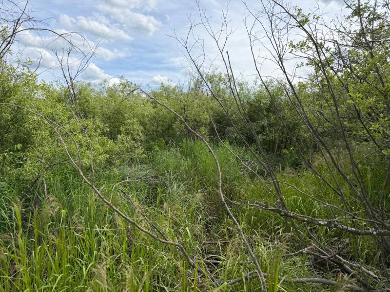 Off CTH M, , Merrill,  WI 54452 USA