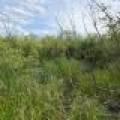 Off CTH M, , Merrill,  WI 54452 USA