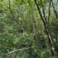 Off CTH M, , Merrill,  WI 54452 USA