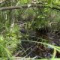 Off CTH M, , Merrill,  WI 54452 USA
