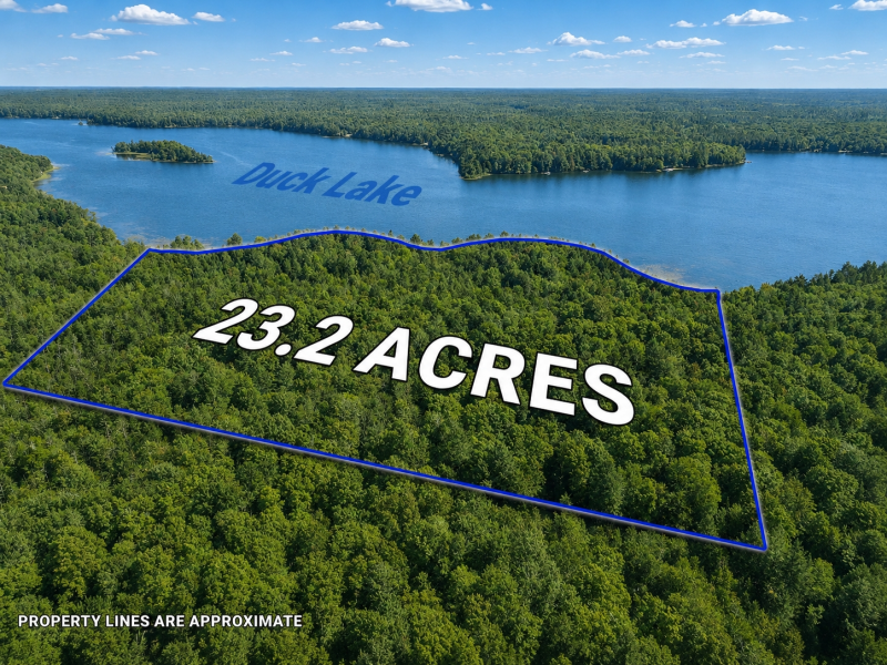 Off E Duck Lake Rd, , Land O Lakes,  WI 49969 USA