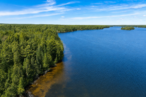 Off E Duck Lake Rd, , Land O Lakes,  WI 49969 USA