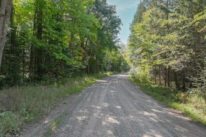 Off E Duck Lake Rd, , Land O Lakes,  WI 49969 USA