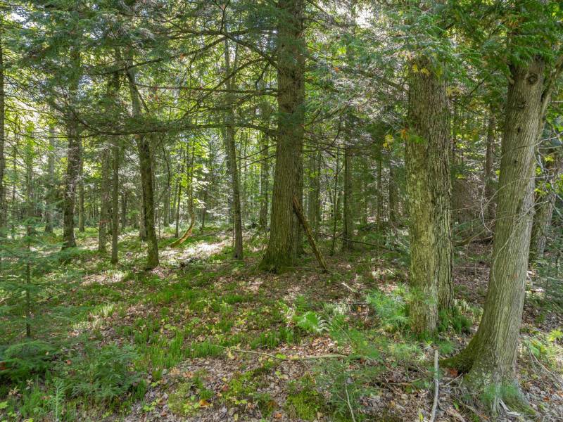 Off E Duck Lake Rd, , Land O Lakes,  WI 49969 USA
