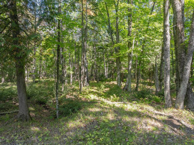 Off E Duck Lake Rd, , Land O Lakes,  WI 49969 USA