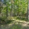 Off E Duck Lake Rd, , Land O Lakes,  WI 49969 USA