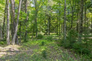 Off E Duck Lake Rd, , Land O Lakes,  WI 49969 USA