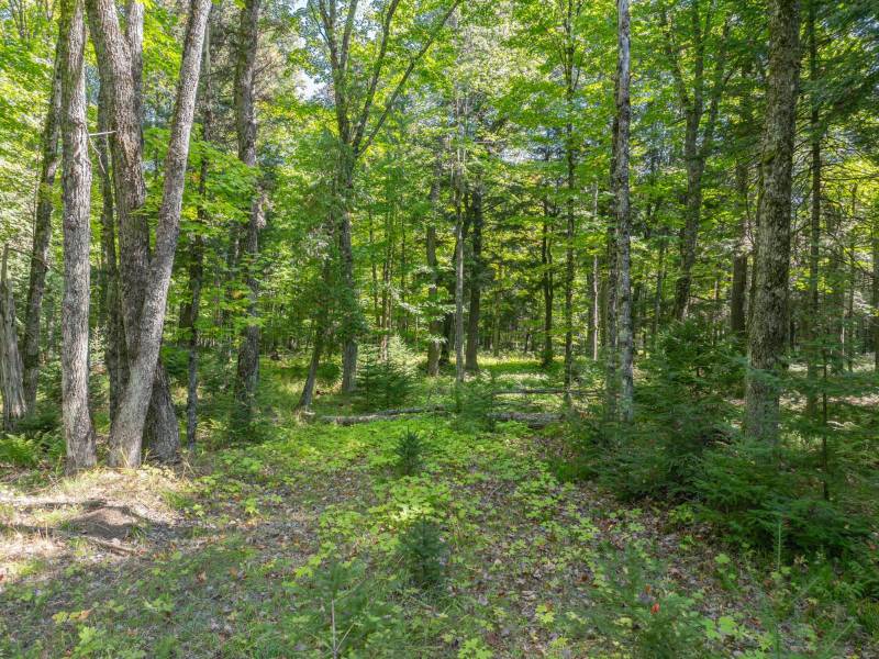 Off E Duck Lake Rd, , Land O Lakes,  WI 49969 USA