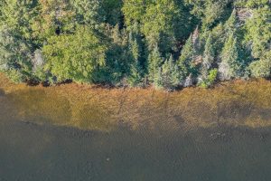 Off E Duck Lake Rd, , Land O Lakes,  WI 49969 USA