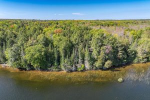 Off E Duck Lake Rd, , Land O Lakes,  WI 49969 USA