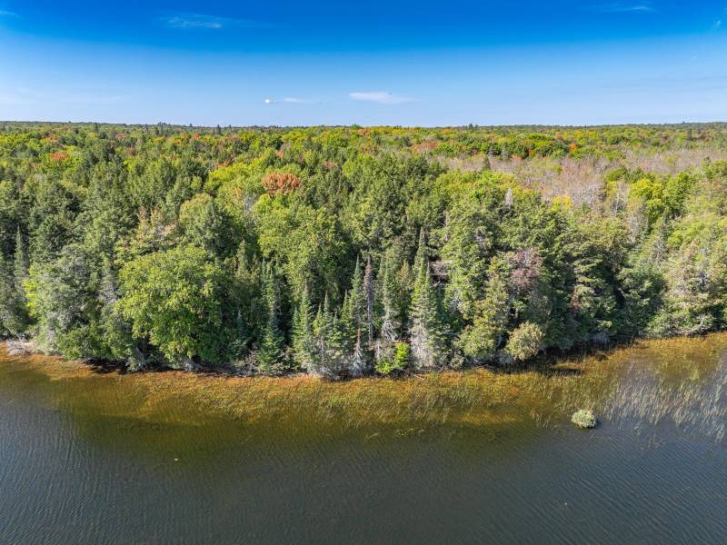 Off E Duck Lake Rd, , Land O Lakes,  WI 49969 USA