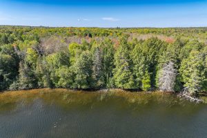 Off E Duck Lake Rd, , Land O Lakes,  WI 49969 USA