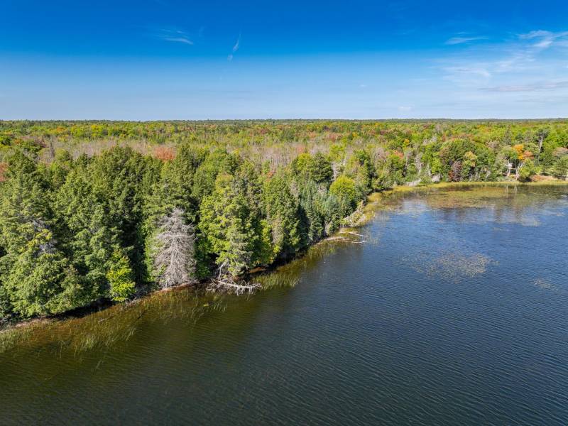Off E Duck Lake Rd, , Land O Lakes,  WI 49969 USA