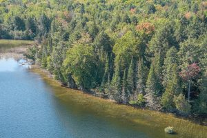 Off E Duck Lake Rd, , Land O Lakes,  WI 49969 USA