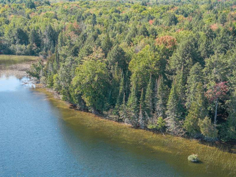 Off E Duck Lake Rd, , Land O Lakes,  WI 49969 USA