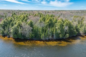 Off E Duck Lake Rd, , Land O Lakes,  WI 49969 USA