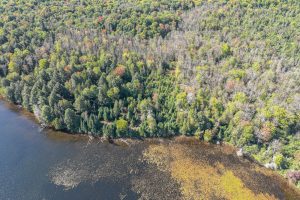 Off E Duck Lake Rd, , Land O Lakes,  WI 49969 USA