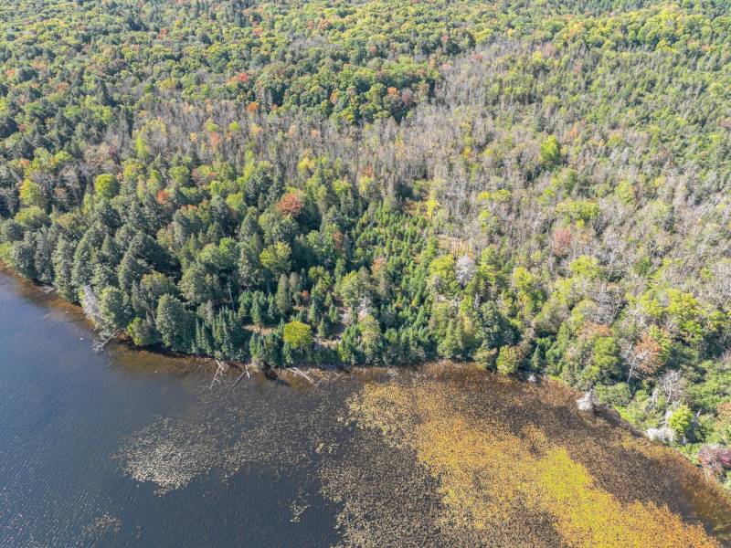 Off E Duck Lake Rd, , Land O Lakes,  WI 49969 USA