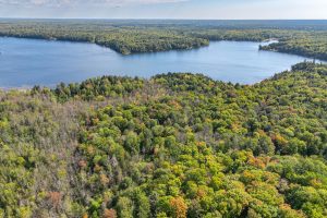 Off E Duck Lake Rd, , Land O Lakes,  WI 49969 USA