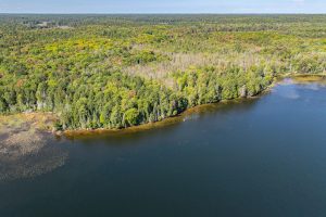 Off E Duck Lake Rd, , Land O Lakes,  WI 49969 USA