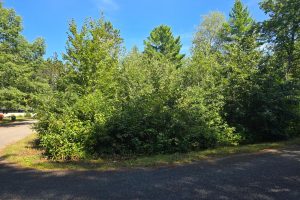 On Bow Ct, , Minocqua,  WI 54548 USA