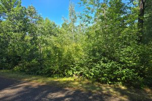 On Bow Ct, , Minocqua,  WI 54548 USA