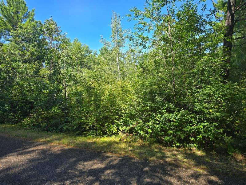 On Bow Ct, , Minocqua,  WI 54548 USA