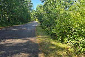 On Bow Ct, , Minocqua,  WI 54548 USA