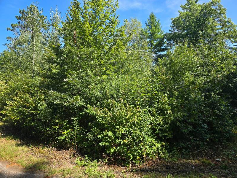 On Bow Ct, , Minocqua,  WI 54548 USA