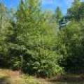 On Bow Ct, , Minocqua,  WI 54548 USA