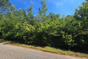 On Bow Ct, , Minocqua,  WI 54548 USA
