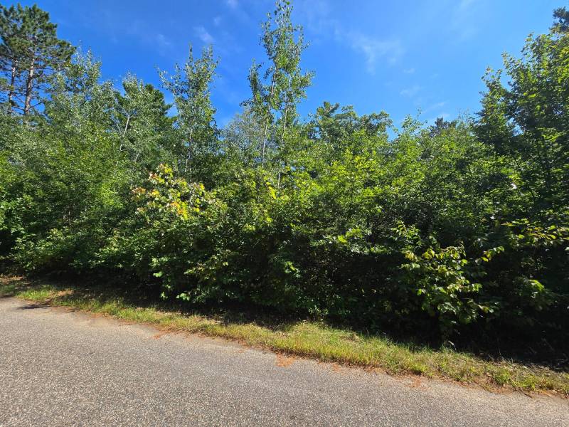 On Bow Ct, , Minocqua,  WI 54548 USA