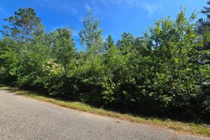 On Bow Ct, , Minocqua,  WI 54548 USA