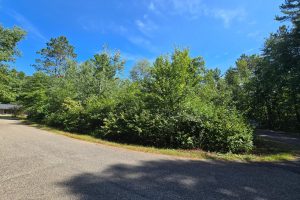 On Bow Ct, , Minocqua,  WI 54548 USA