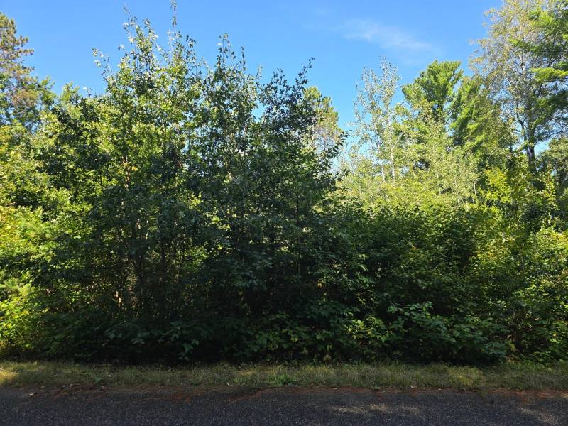 On Bow Ct, , Minocqua,  WI 54548 USA