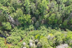 On Dam Rd, , Eagle River,  WI 54521 USA
