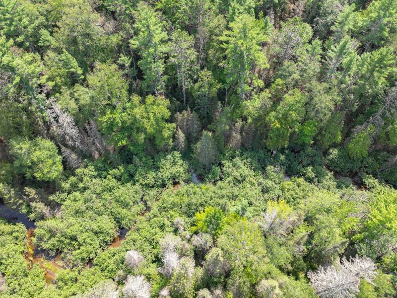 On Dam Rd, , Eagle River,  WI 54521 USA