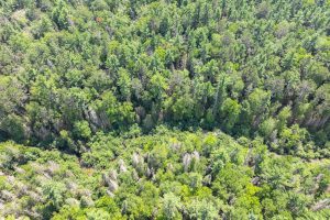 On Dam Rd, , Eagle River,  WI 54521 USA