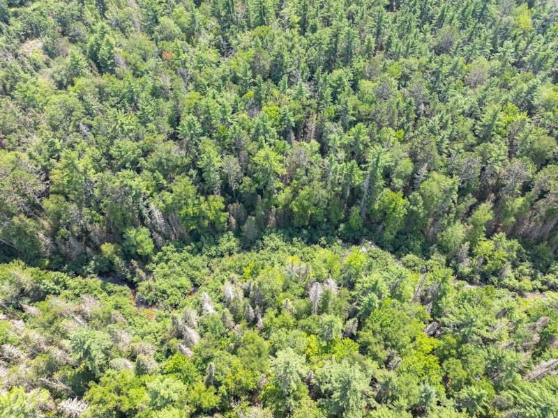 On Dam Rd, , Eagle River,  WI 54521 USA