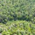 On Dam Rd, , Eagle River,  WI 54521 USA