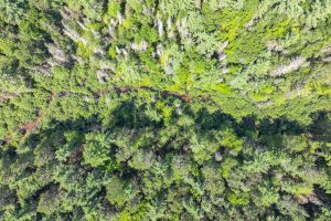 On Dam Rd, , Eagle River,  WI 54521 USA