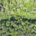 On Dam Rd, , Eagle River,  WI 54521 USA