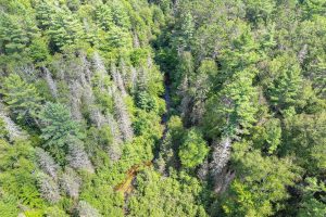 On Dam Rd, , Eagle River,  WI 54521 USA