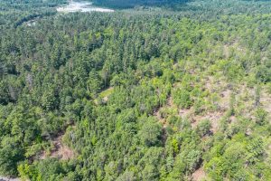 On Dam Rd, , Eagle River,  WI 54521 USA