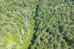 On Dam Rd, , Eagle River,  WI 54521 USA