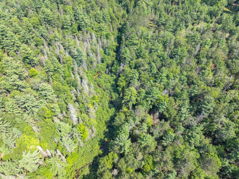 On Dam Rd, , Eagle River,  WI 54521 USA